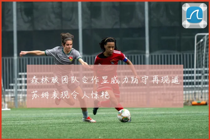 森林狼团队合作显威力防守再现道苏姆表现令人惊艳