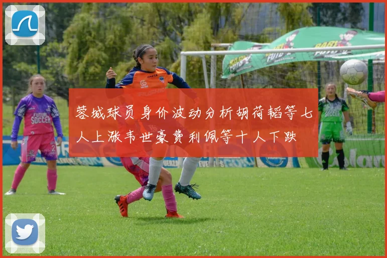 蓉城球员身价波动分析胡荷韬等七人上涨韦世豪费利佩等十人下跌